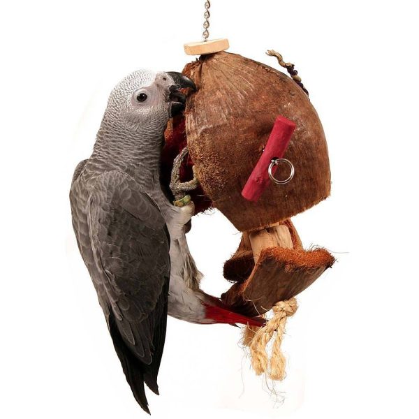 Голяма играчка с естествен кокос – Coco De Nut – 38cm Играчки Големи видове папагали Играчки Всички продукти