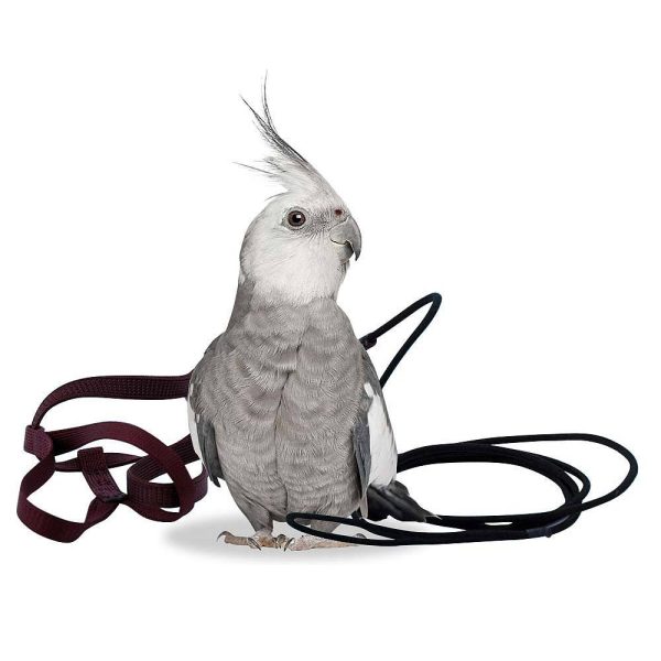 Aviator – Harness – размер Petite Оборудване-Аксесоари Авиатор- Харнес- Нагръдник Всички продукти