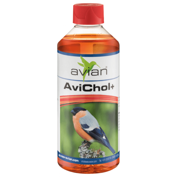Avian – AviChol + 500 мл. Лечебни - Терапевтични Aves - Avian Добавки към Храната Подпомагане на красиво оперение Самооскубване и други критични случаи Всички продукти