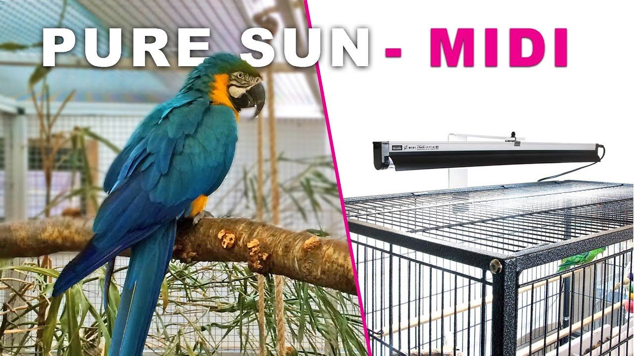 Комплект Осветлени за Птици Arcadia T5 Midi PureSun 14W 55cm. - Image 2