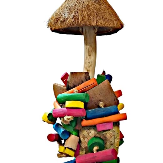 Играчка за Папагали - 00Z5 - Parrot Toy