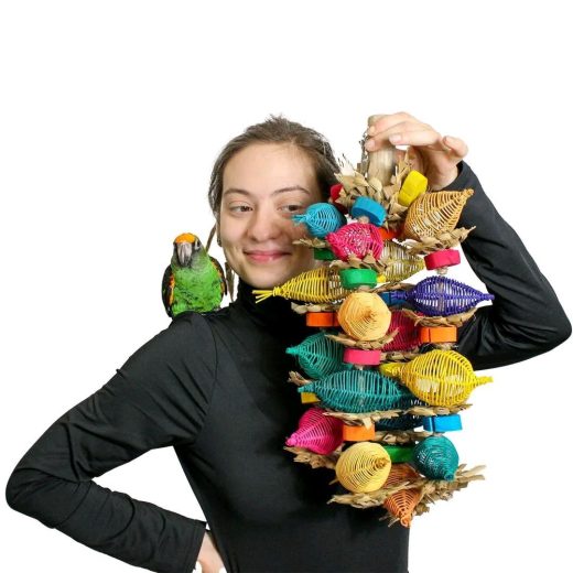 Играчка за Папагали-00Z10 -Parrot Toy