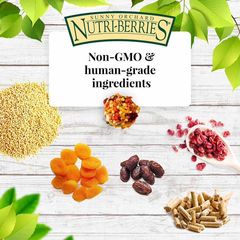 Nutri-Berries Био - Слънчева Плодова Градина - Image 2