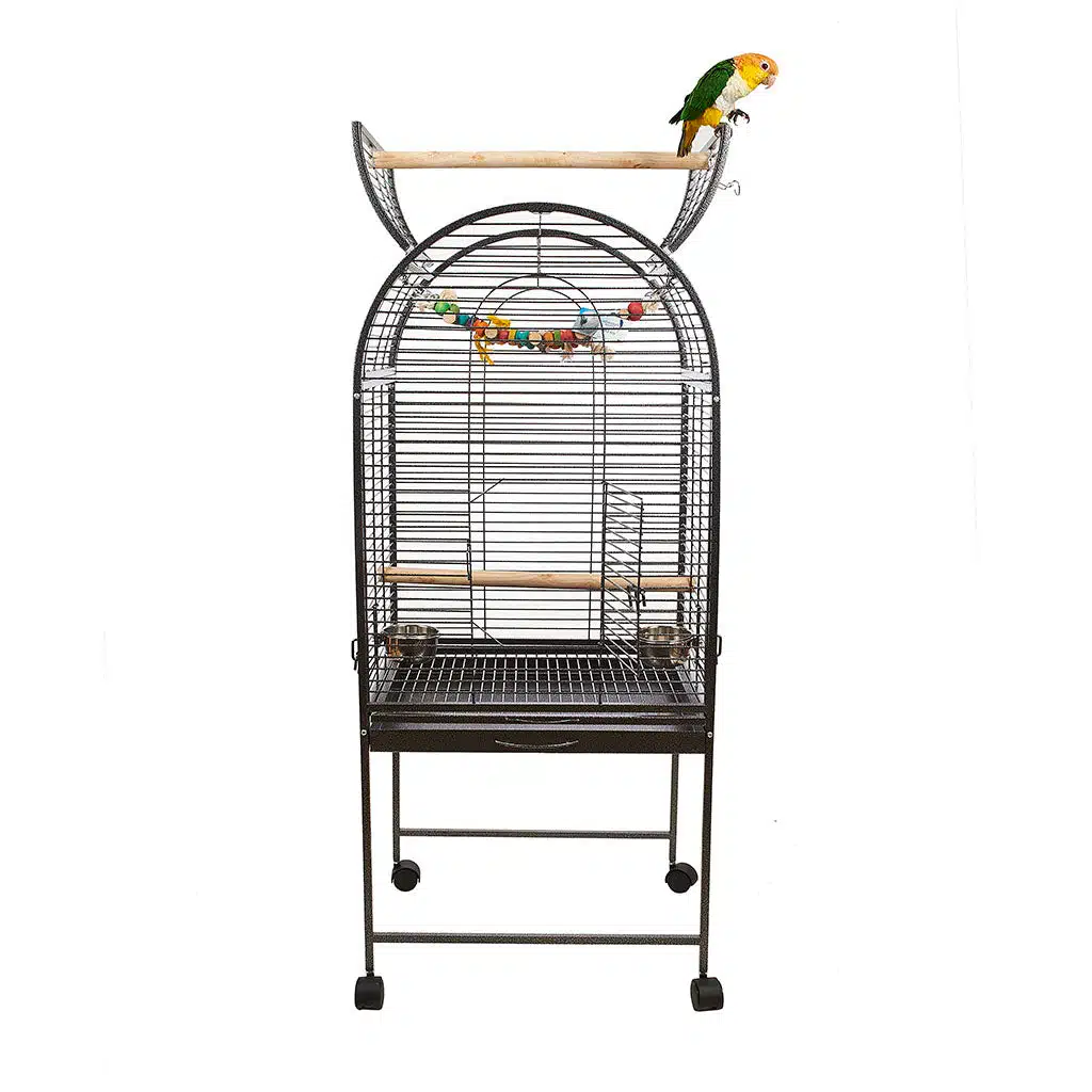 parrot cage