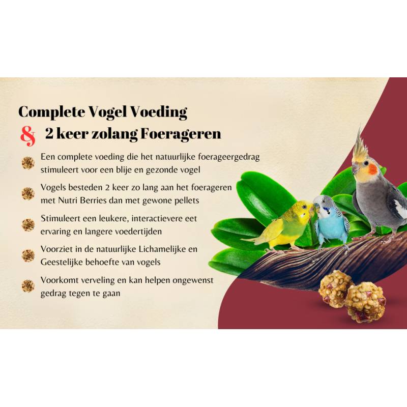 Lafeber Nutri-Berries El Paso - Cockatiel 284 грама